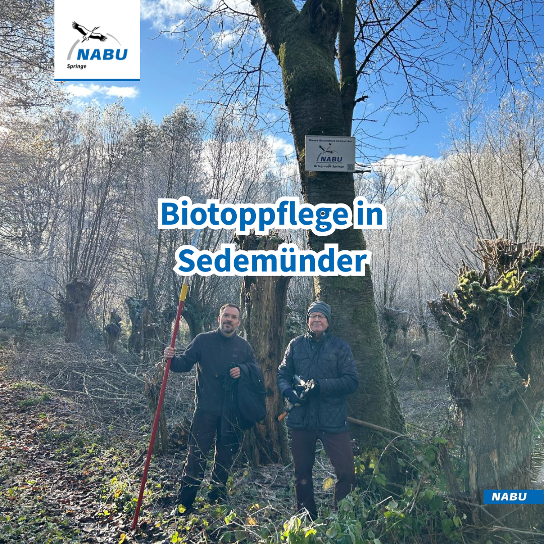 Helfer der Aktion: Christian Albert und Michel Beuth, hinter der Kamera: Michael Borgolte