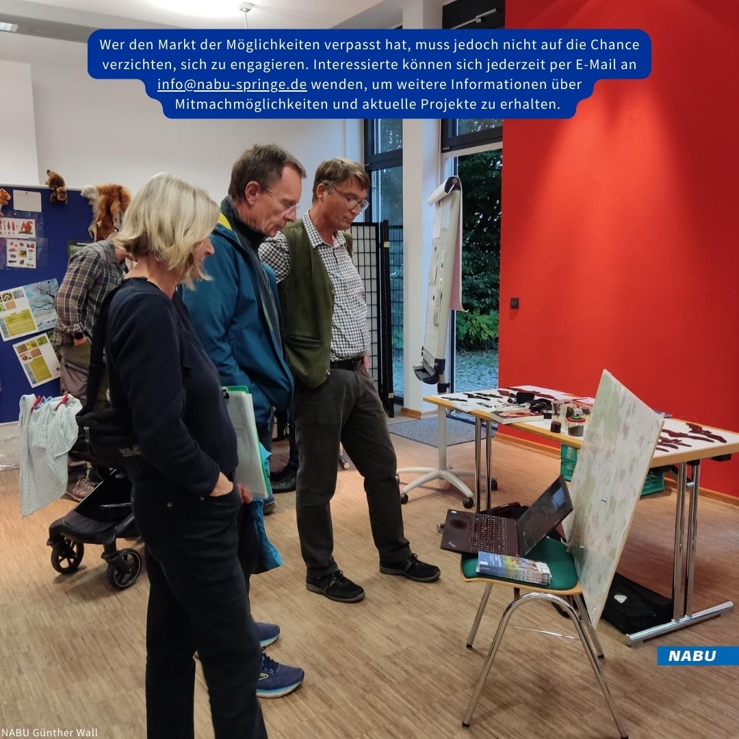 Fledermäuse und Insekten