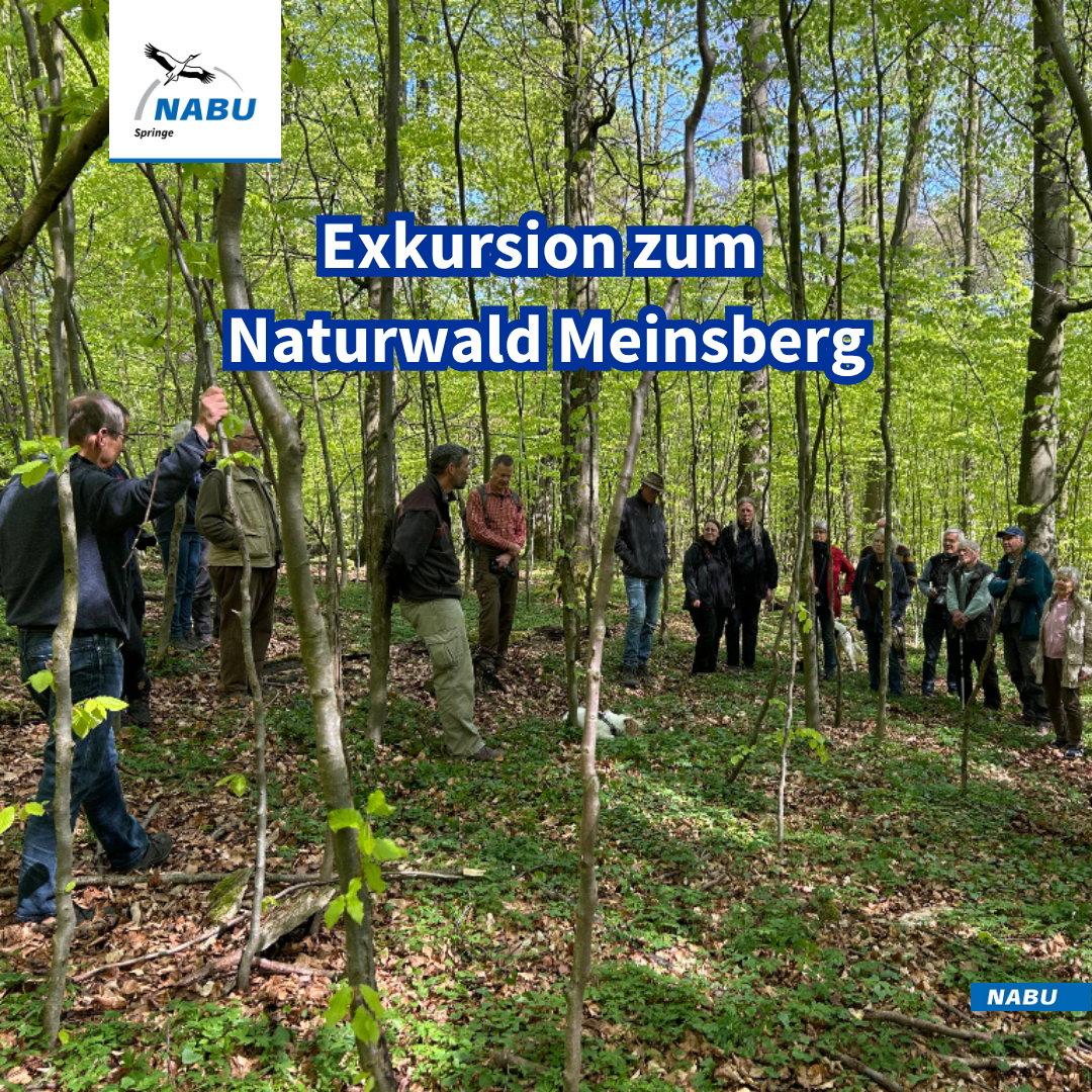 Exkursion zum Naturwald Meinsberg