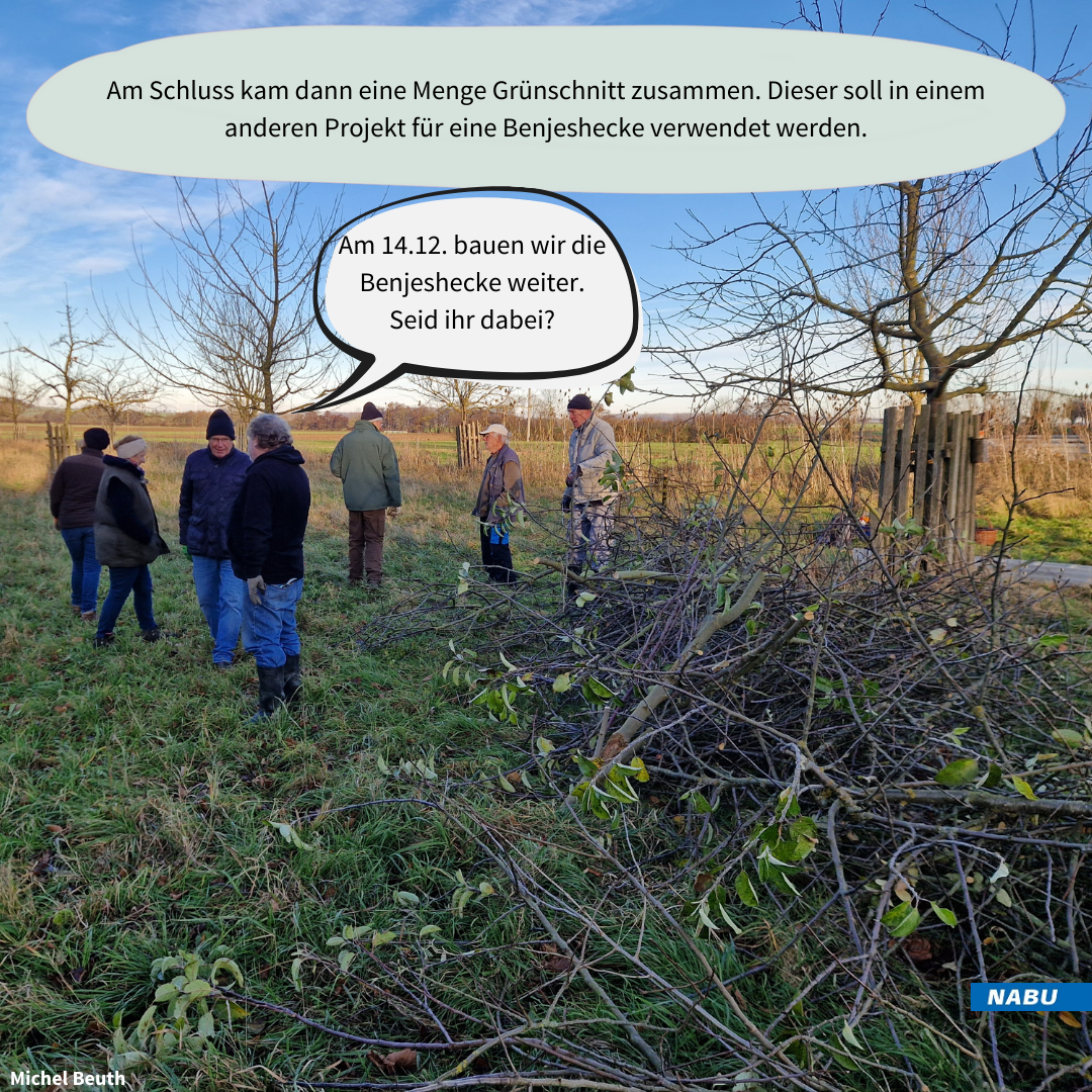 Das aufgehäufte Schnittgut