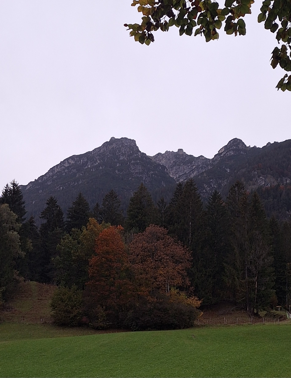 Wieder im Tal, Rückblick zum Gipfel