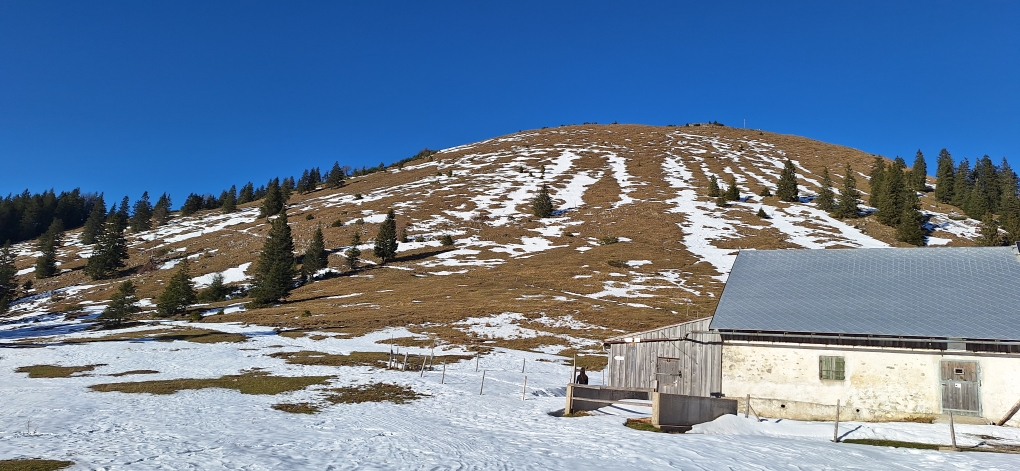 Blick von der Jocheralm zum Hipfel