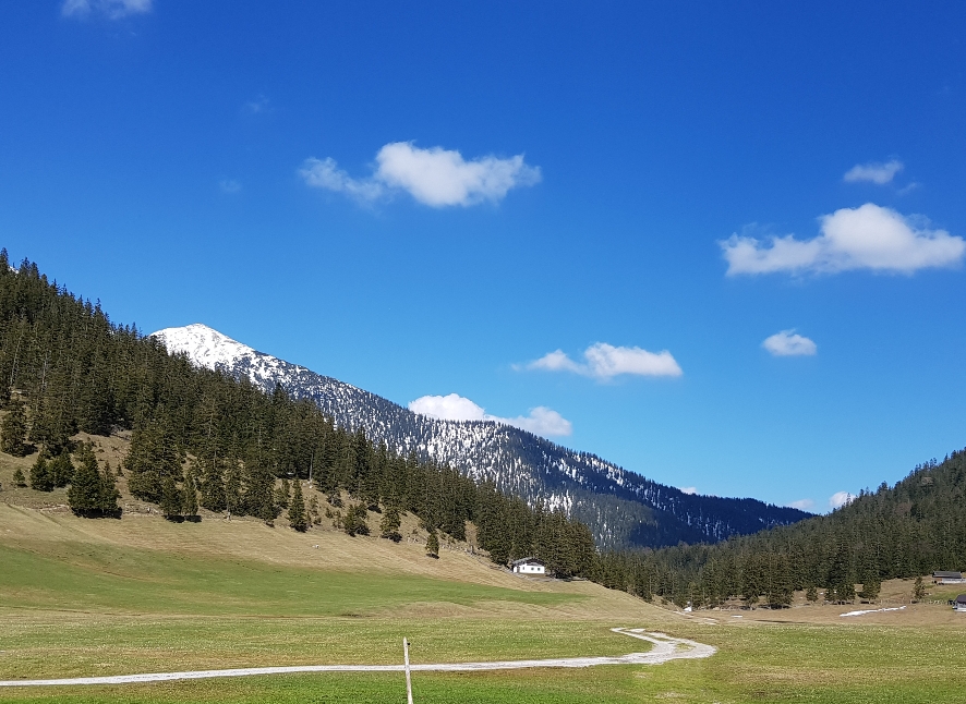 Blick von der Esterbergalm zum Krottenkopf
