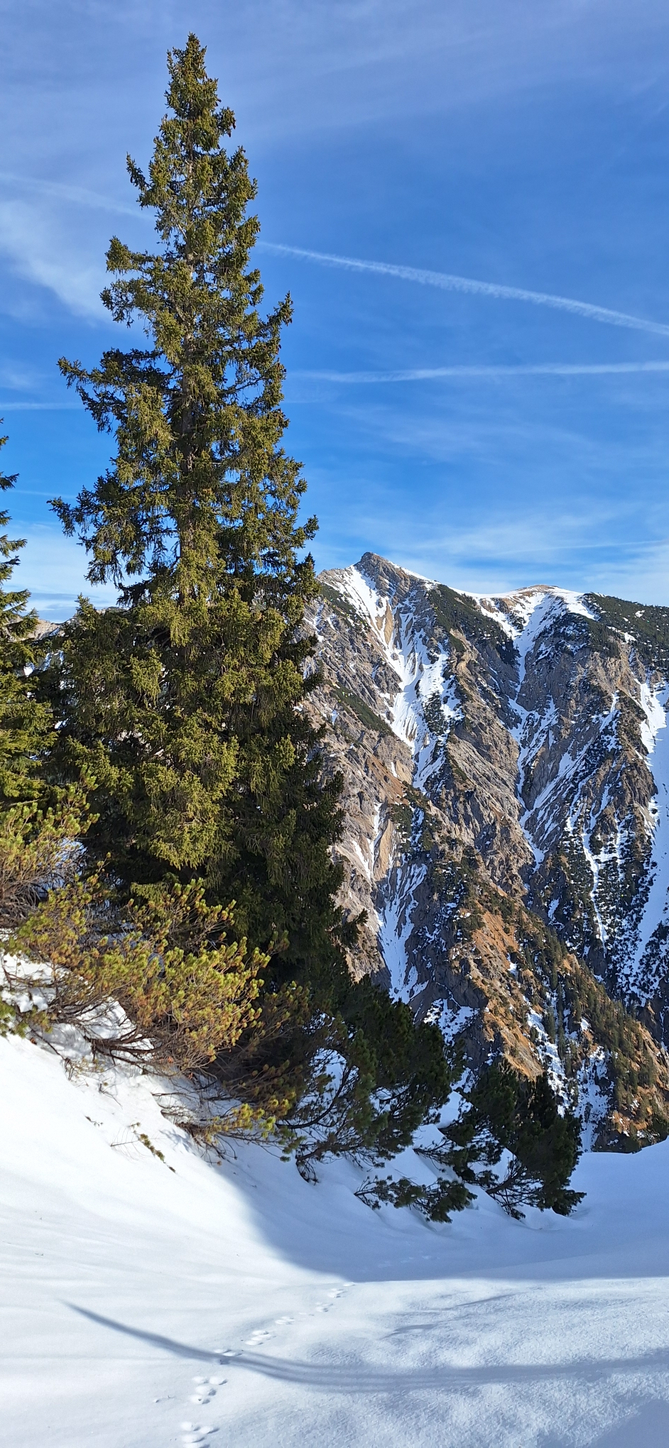 Blick vom Sunkenjoch zum Friederspitz