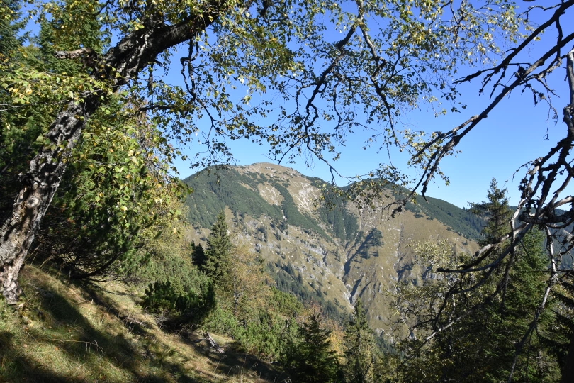 Blick vom Aufstieg zum Brünnstlkreuz zur Notkarspitze