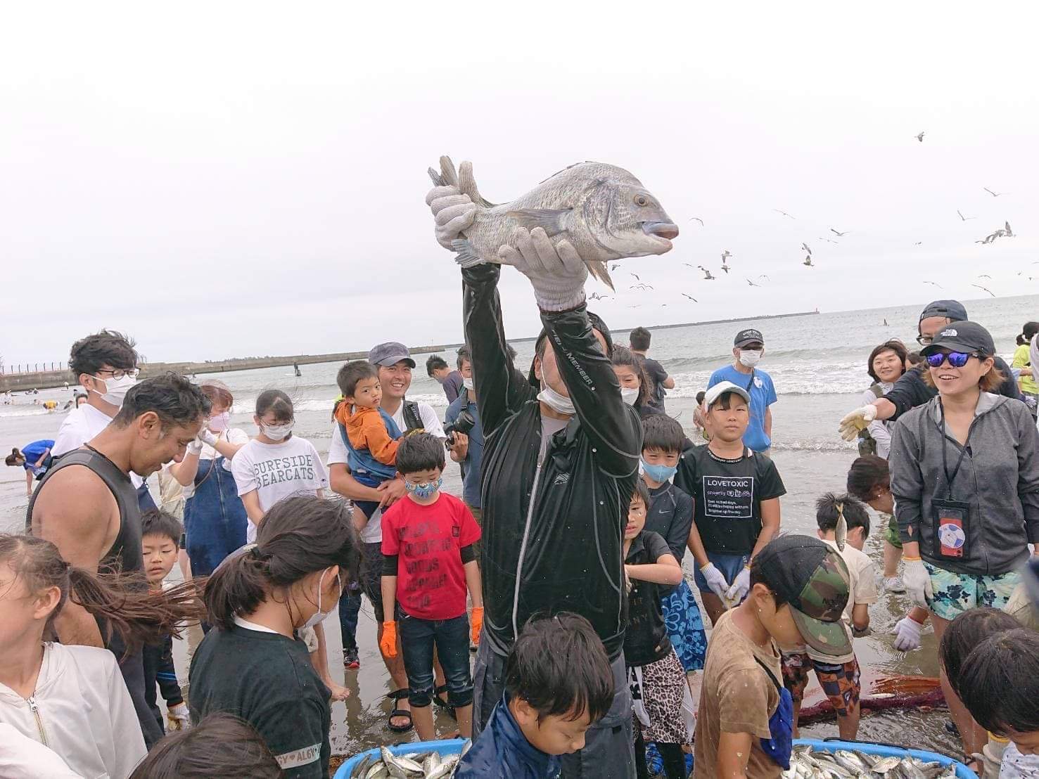 地曳網漁体験