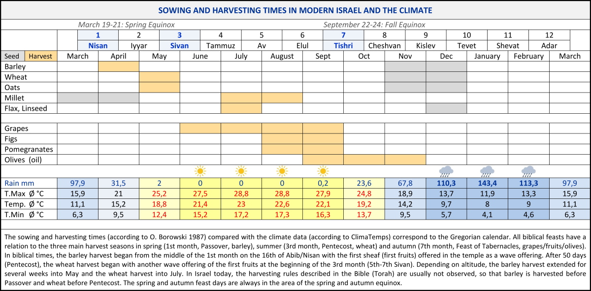 The Grain and Fruit Harvest Times in Israel Structure Bible Menorah