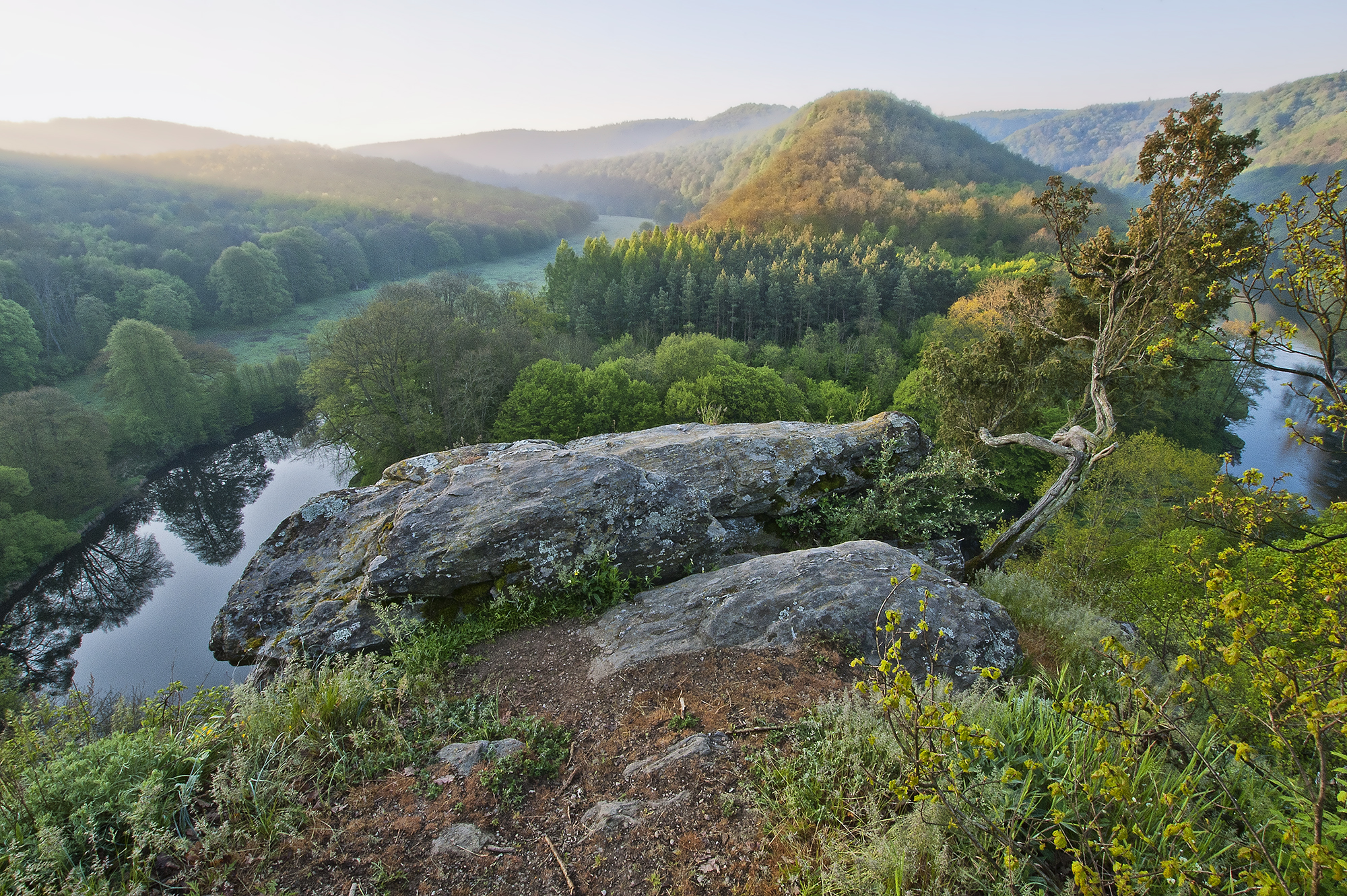 Nationalpark Thayatal Das Tal der Thaya mit steilen Felsen und sanften