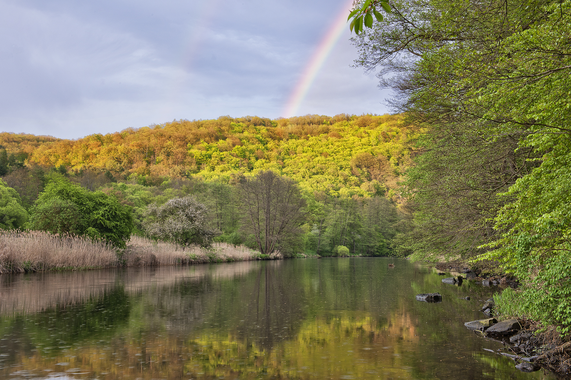 Nationalpark Thayatal Das Tal der Thaya mit steilen Felsen und sanften