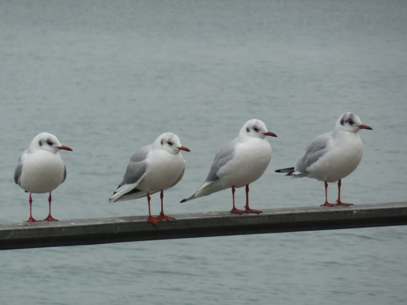 unser erster gemeinsamer Wochenendausflug an den Bodensee