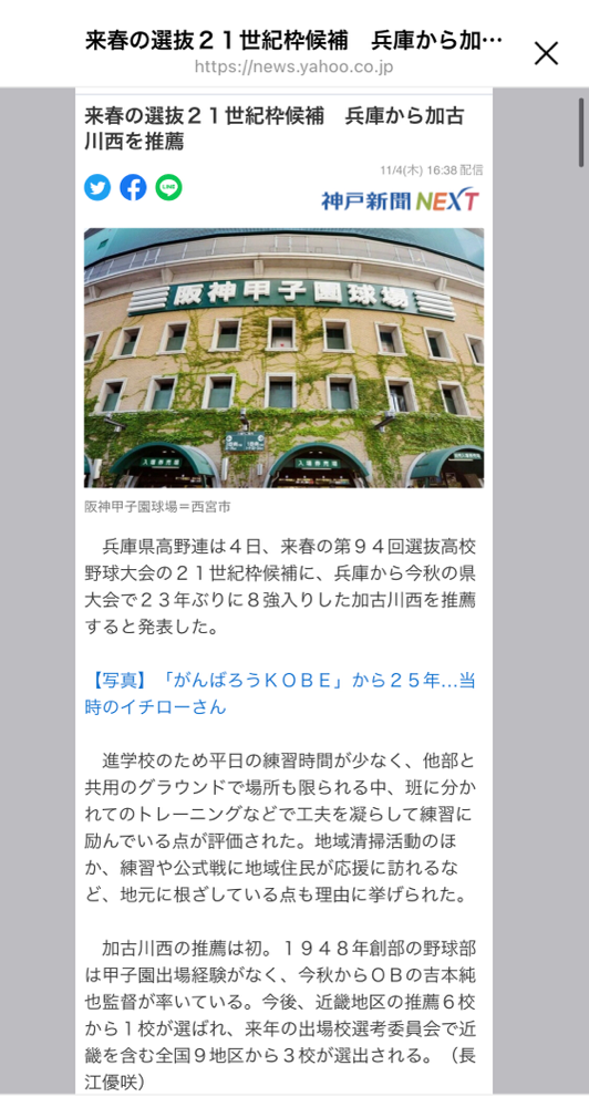 適切な価格 第94回甲子園ベスト8出場記念【作新学院】 （福井商業高校野球部 食器