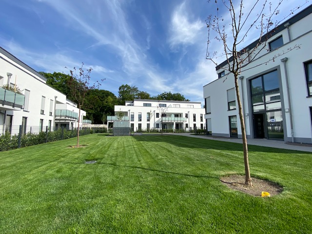 Gemeinschaftsflächen