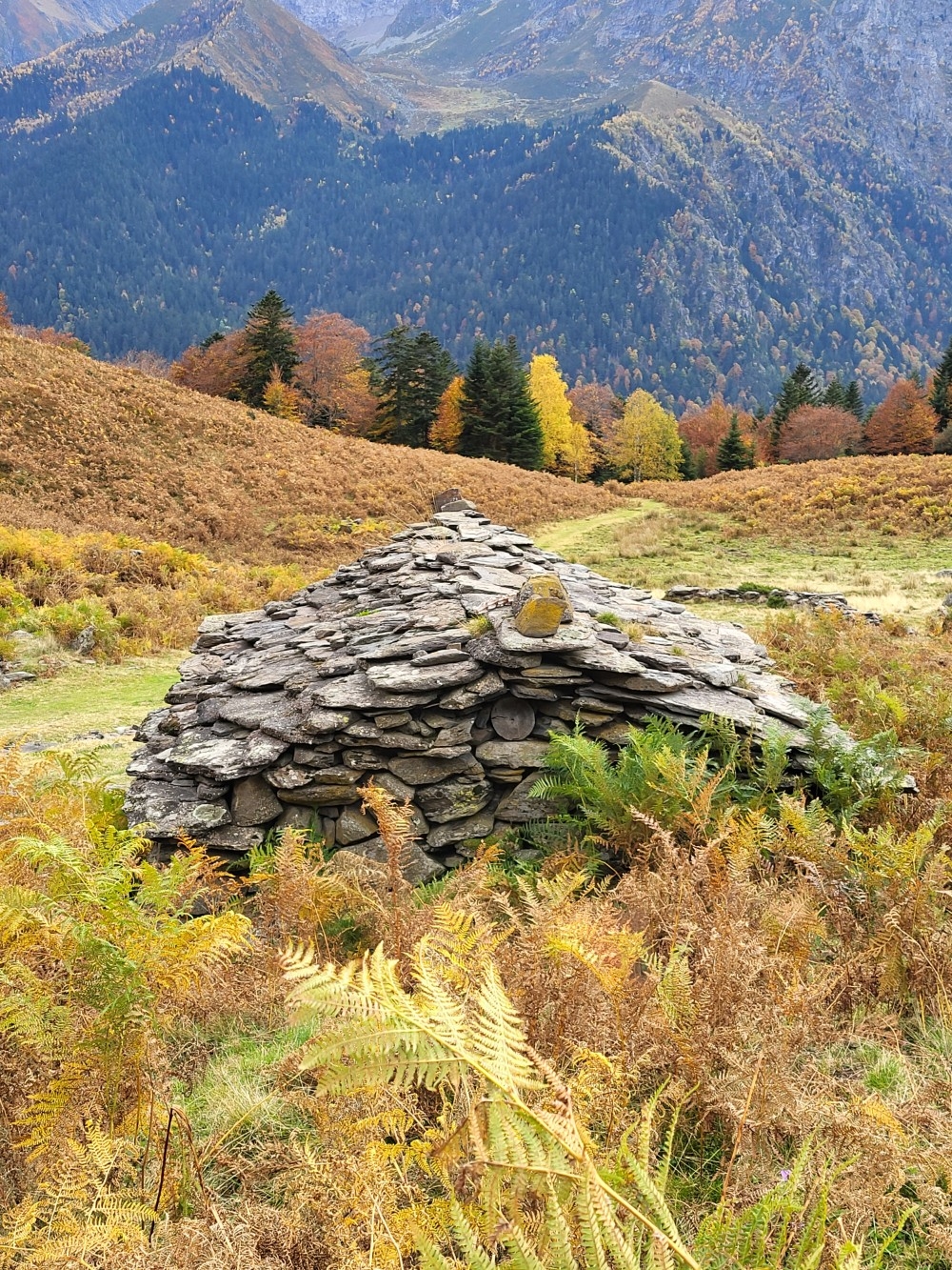 En Automne : Rechargez vos batteries