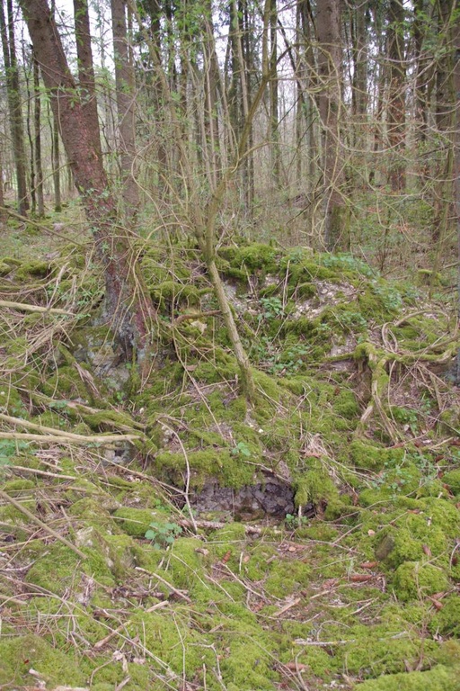 Mauerreste