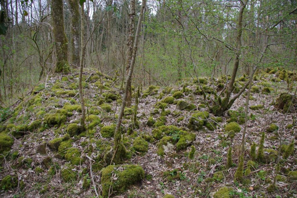 Ruinen