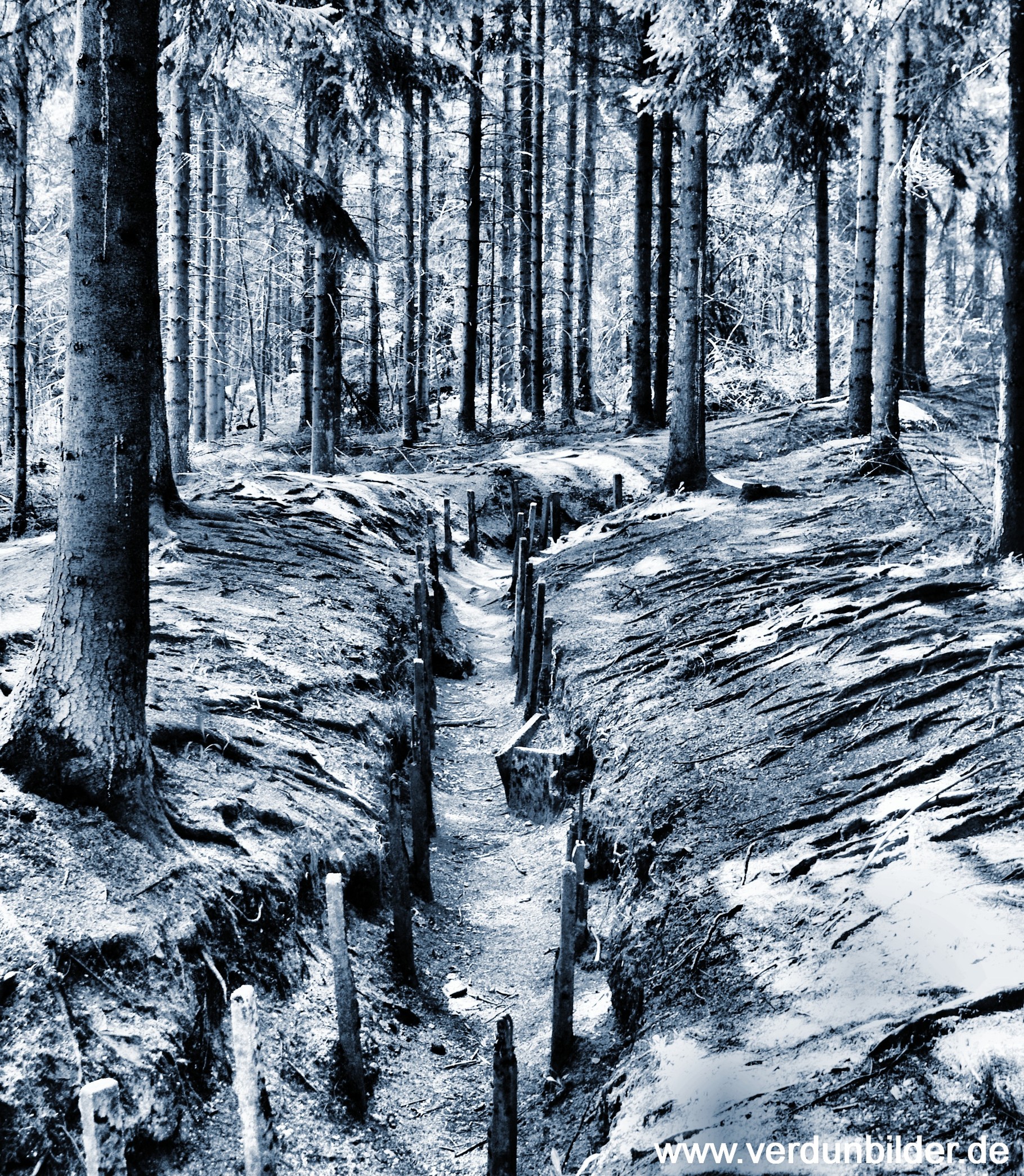 Londoner Laufgraben www.verdunbilder.de fotos vom schlachtfeld heute