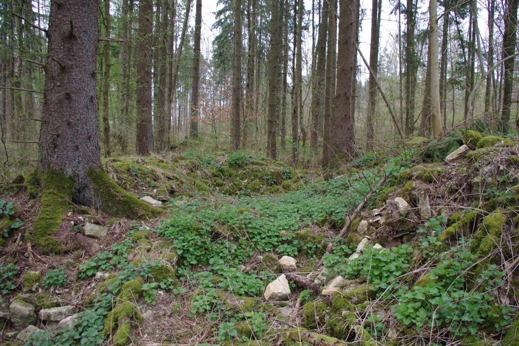 Der Widerstand der Verteidiger von Louvemont hielt bis zum Abend des 25. Februar an