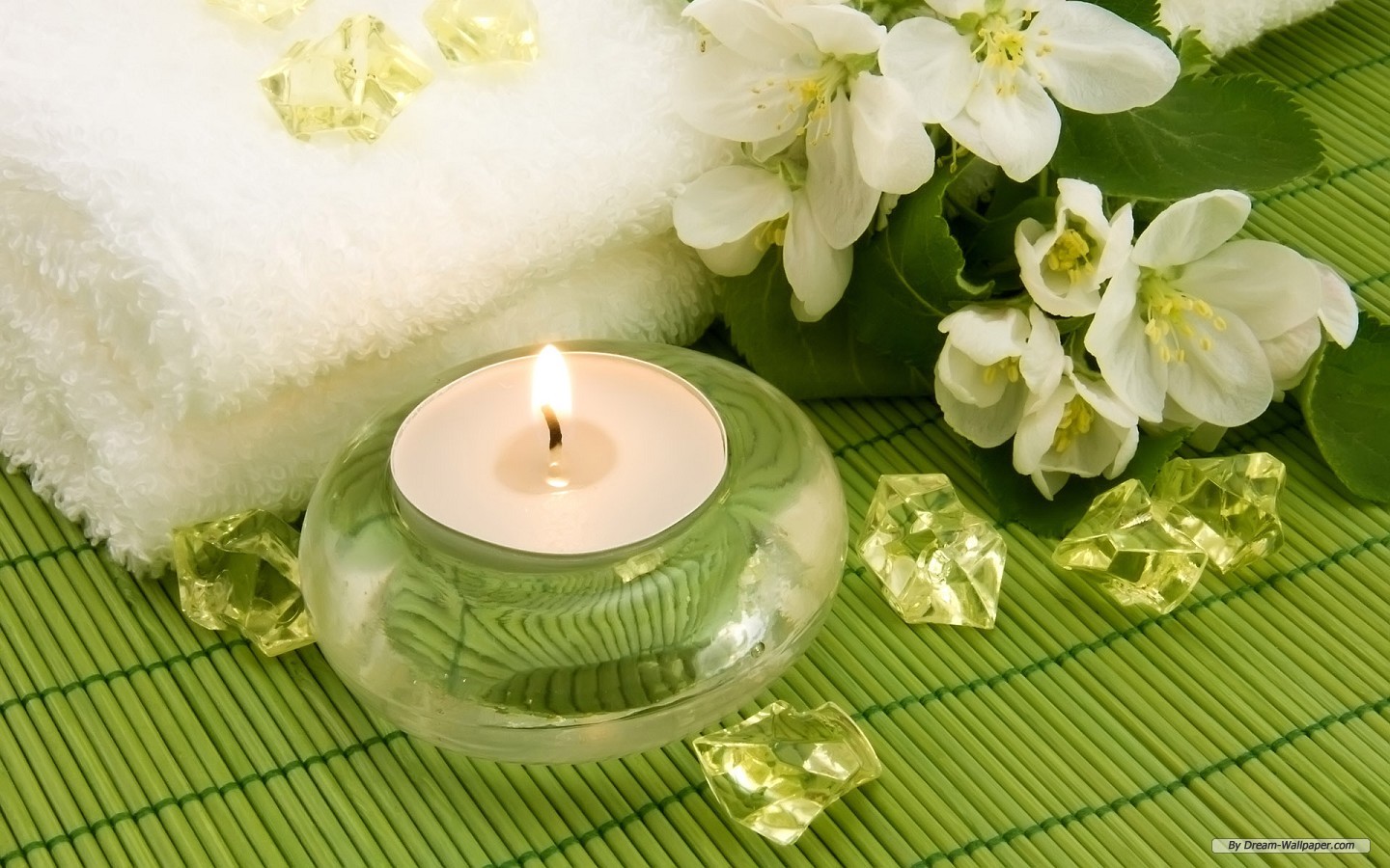 Naturheilpraxis, TCM und Physiotherapie, Claudia Pollinger - Bad Dürrheim