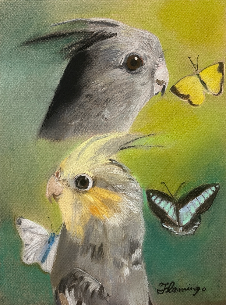 Cockatiels (Pastel)