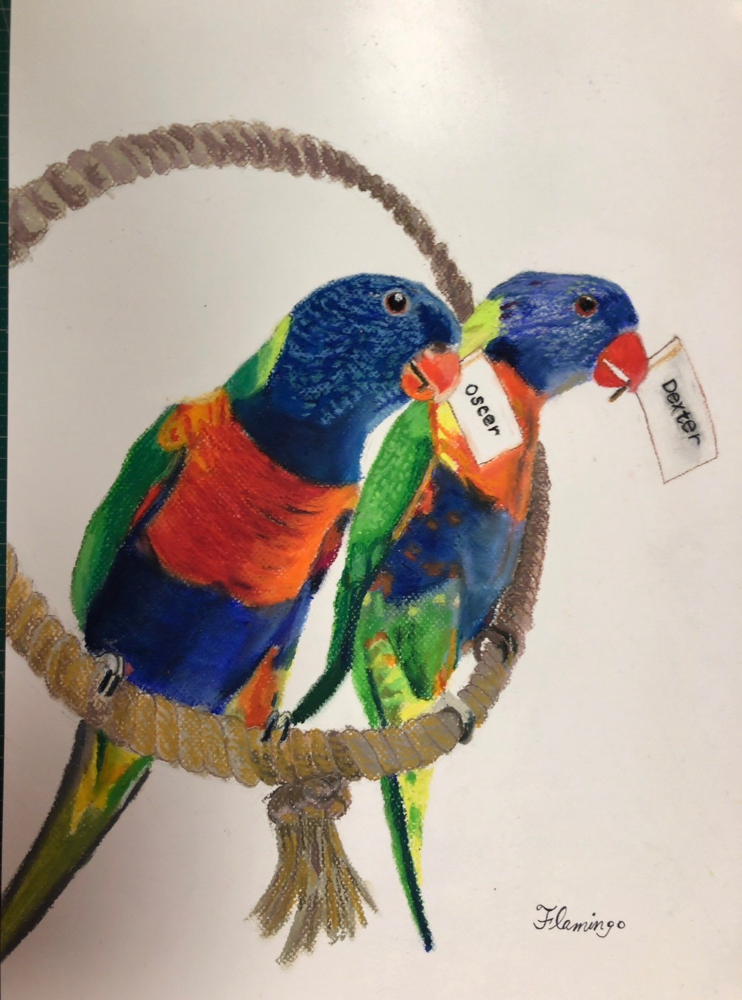 Lorikeet(Oscar and Dexter)Oil pastels 