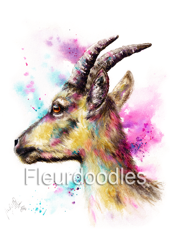 #266 Steinbock