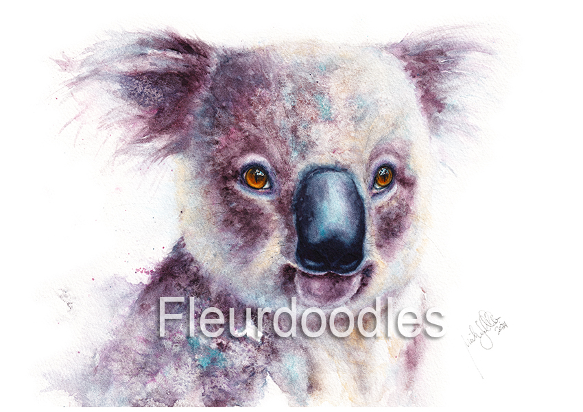Koala #223