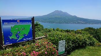 Aloha Hawiian Festival In Kagoshima アロハハワイアンフェスティバル In 鹿児島