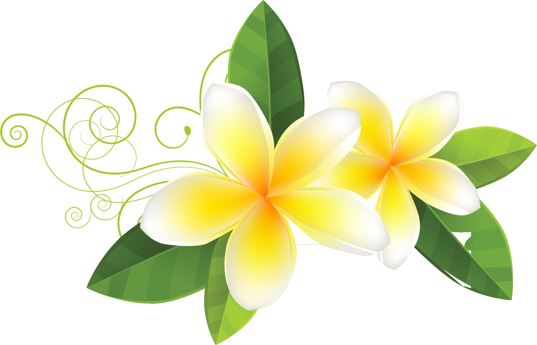 広告協賛 ありがとうございます アロハハワイアンフェスティバル In 鹿児島