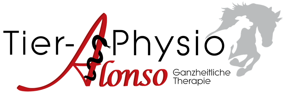 Wann kann Physiotherapie helfen ? TierPhysioAlonso