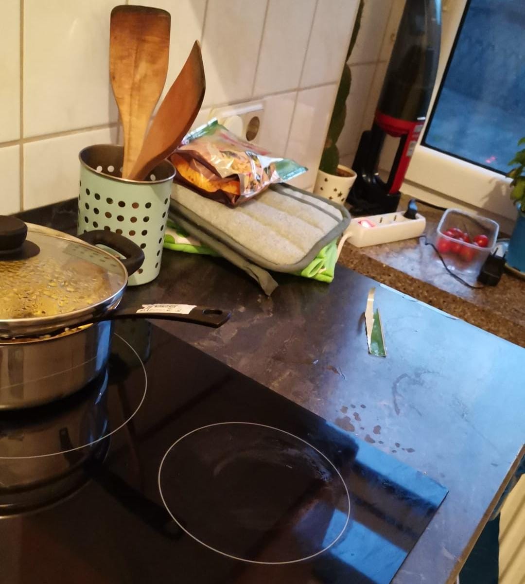 Die Mitbewohnerin der Hölle