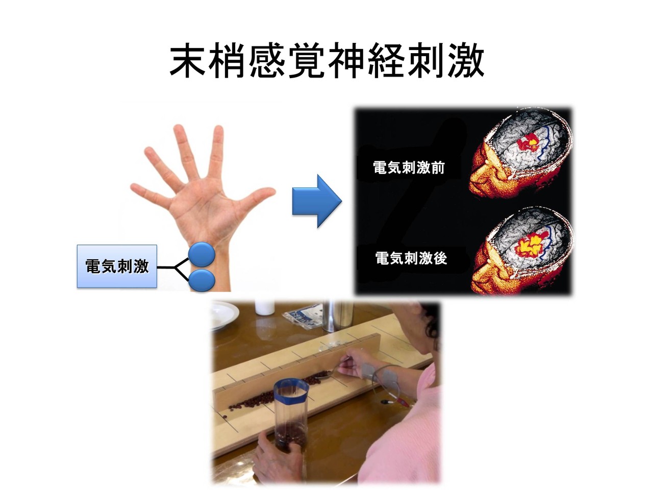 神経リハビリテーション - 物理医学系リハビリテーション研究会