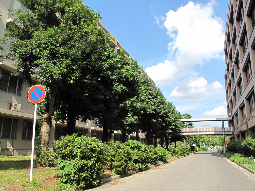 放送大学 岡山学習センター 同窓会 Air Keyakinomori ページ