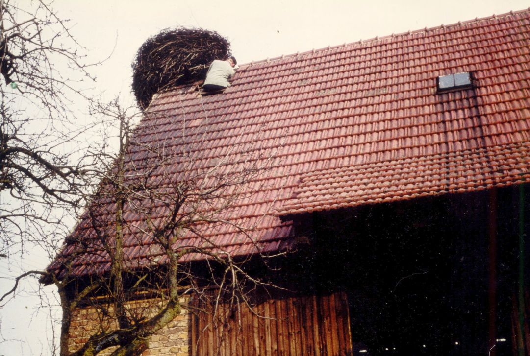 Das letzte Nest innerhalb des Ortes 1959