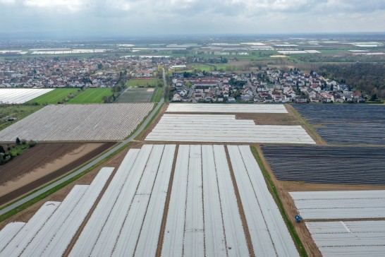 Ackerfolien unter die Lupe genommen