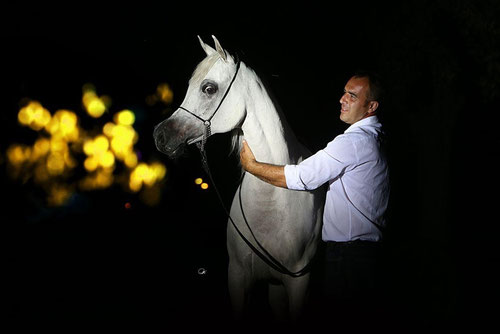 *Luca Oberti Arabians, Italy