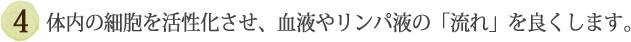 ④体内の細胞を活性化させ、血液やリンパ液の「流れ」を良くします。