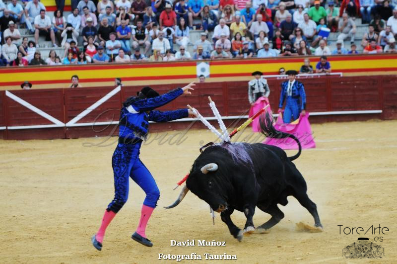 Fotos tercio de banderillas. ToreArte Fotografía Taurina
