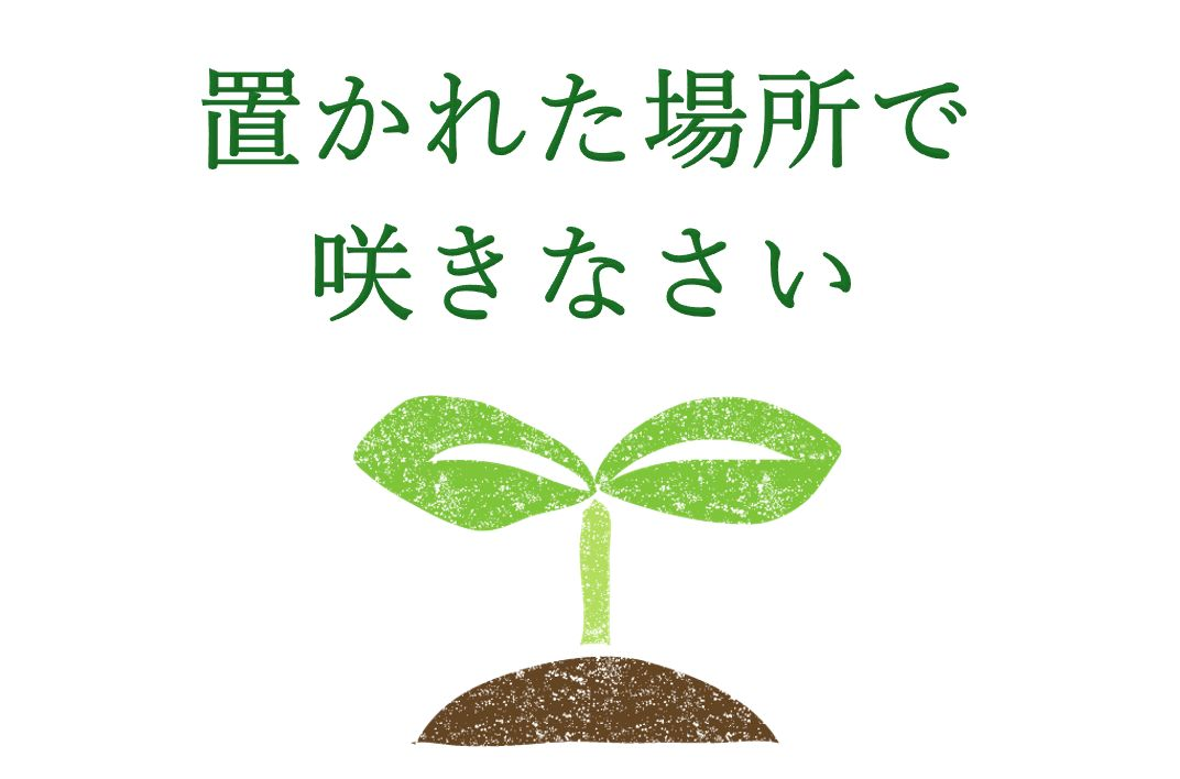 置かれた場所で咲きなさい