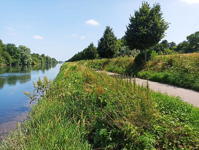canal de la somme-chemin de halage-haut de france-vélo route-piste cyclable-vélo-fat bike-pique nique-champêtre-boismont-saigneville-petit port-écluses-repos des pêcheurs-port le grand-grand laviers-marais-champs-fleuve somme-amiens-abbeville-pinchefalise