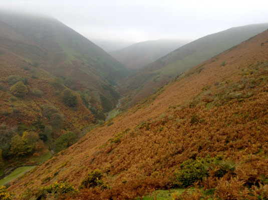 I wouldn't have been surprised to see dragons, dwarves and goblins appearing in the mist of the Shropshire Hills