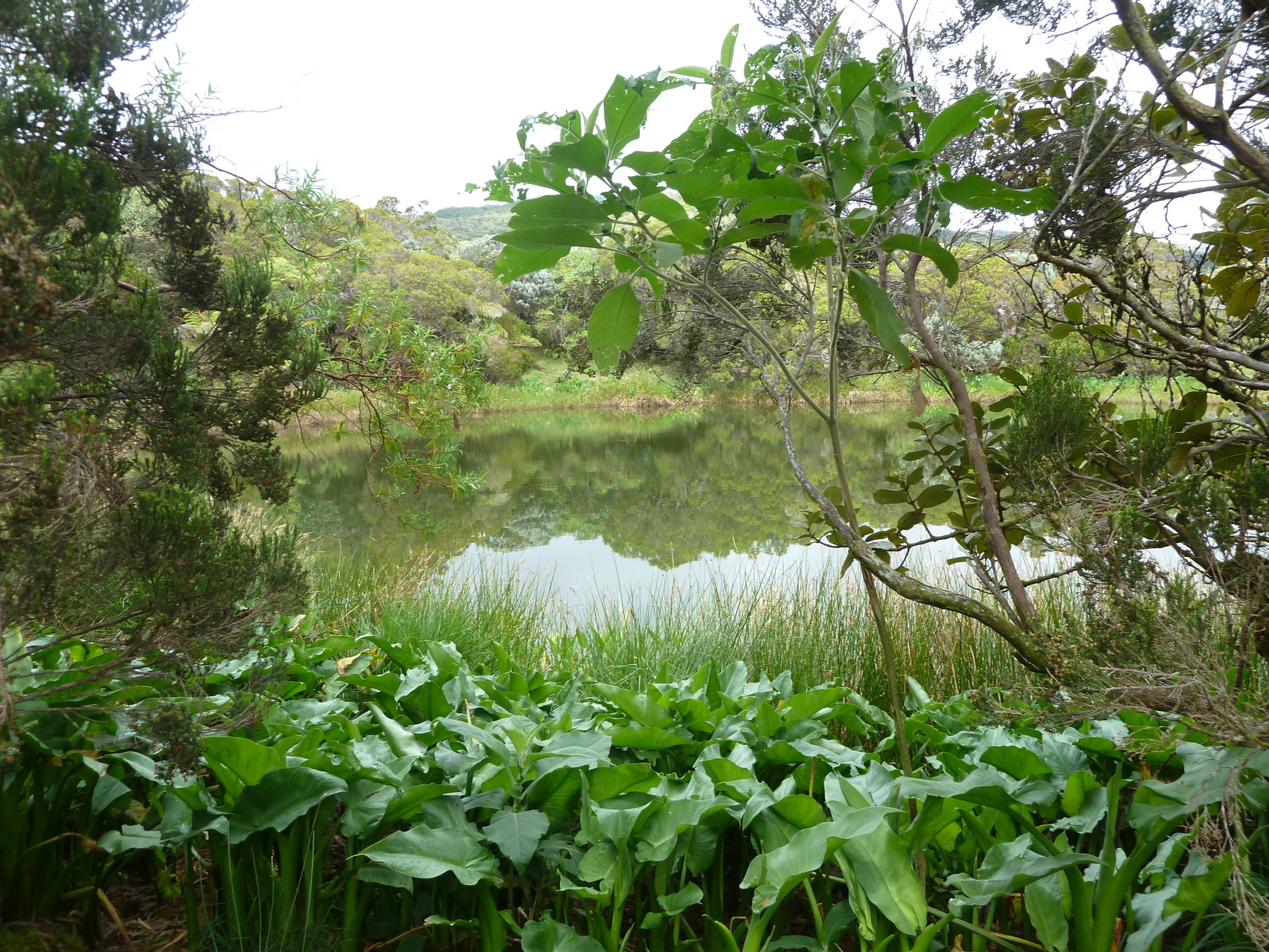 Piton de l'eau, La Réunion