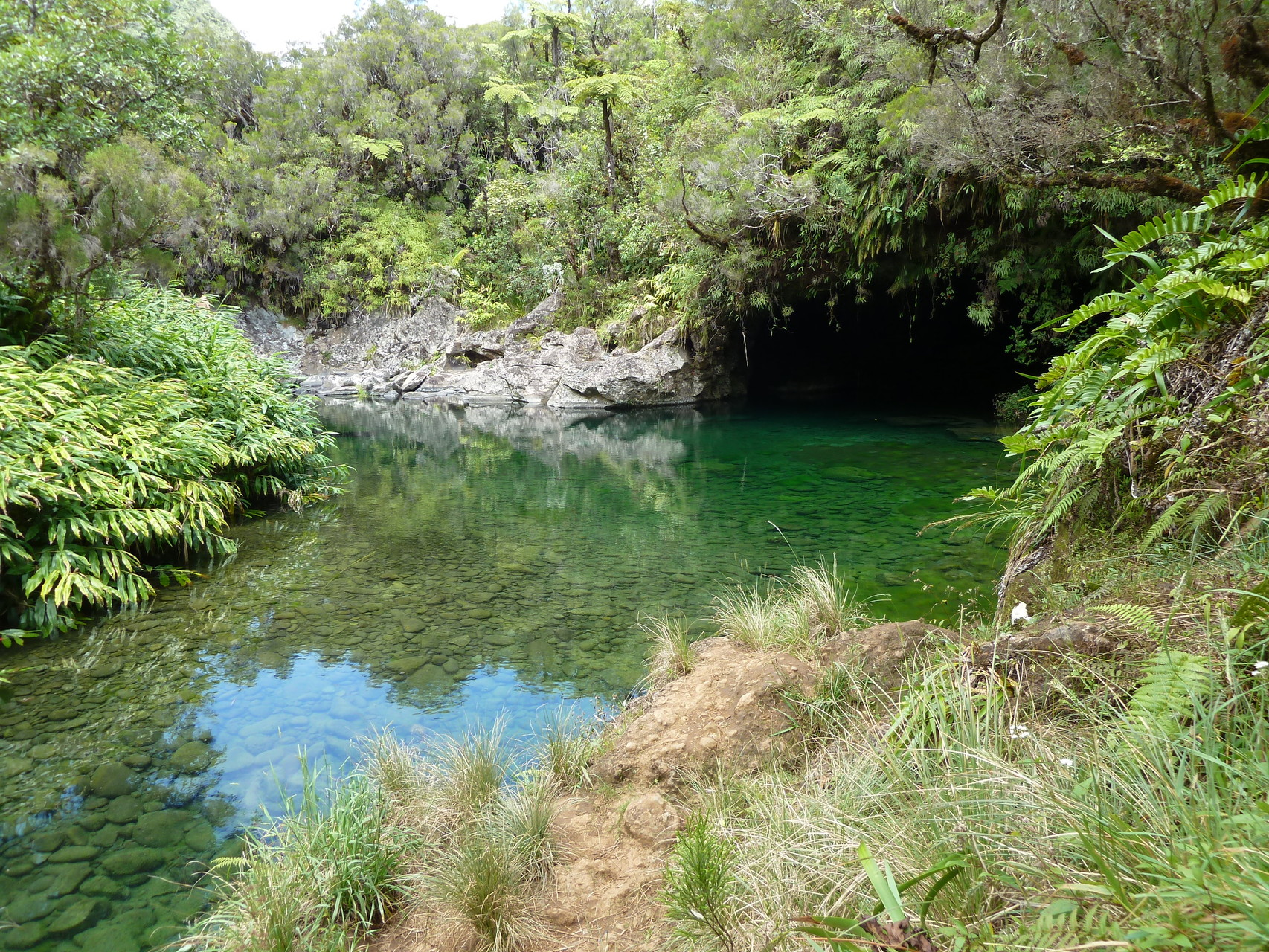 Caverne aux Hirondelles, La Réunion