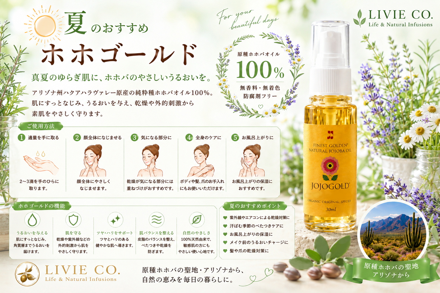 LIVIE CO.の夏限定イメージ広告。ハーブを背景に、純粋種ホホバオイル100％「ホホゴールド30ml」を紹介するナチュラルスキンケア広告。紫外線や乾燥対策におすすめの天然保湿オイル。