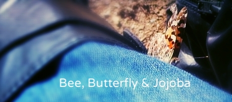 ♡　BUTTERFLY (American Lady) & JOJOBA