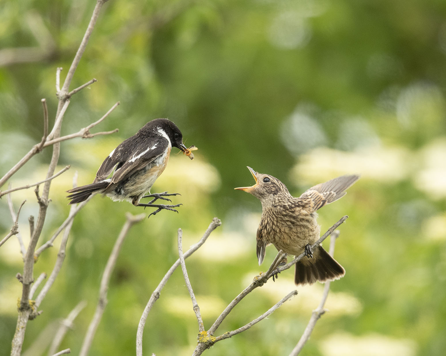 .... gleich bekommst du was :-)