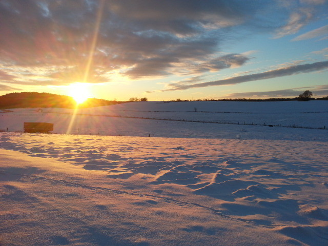 Schnee auf den Feldern