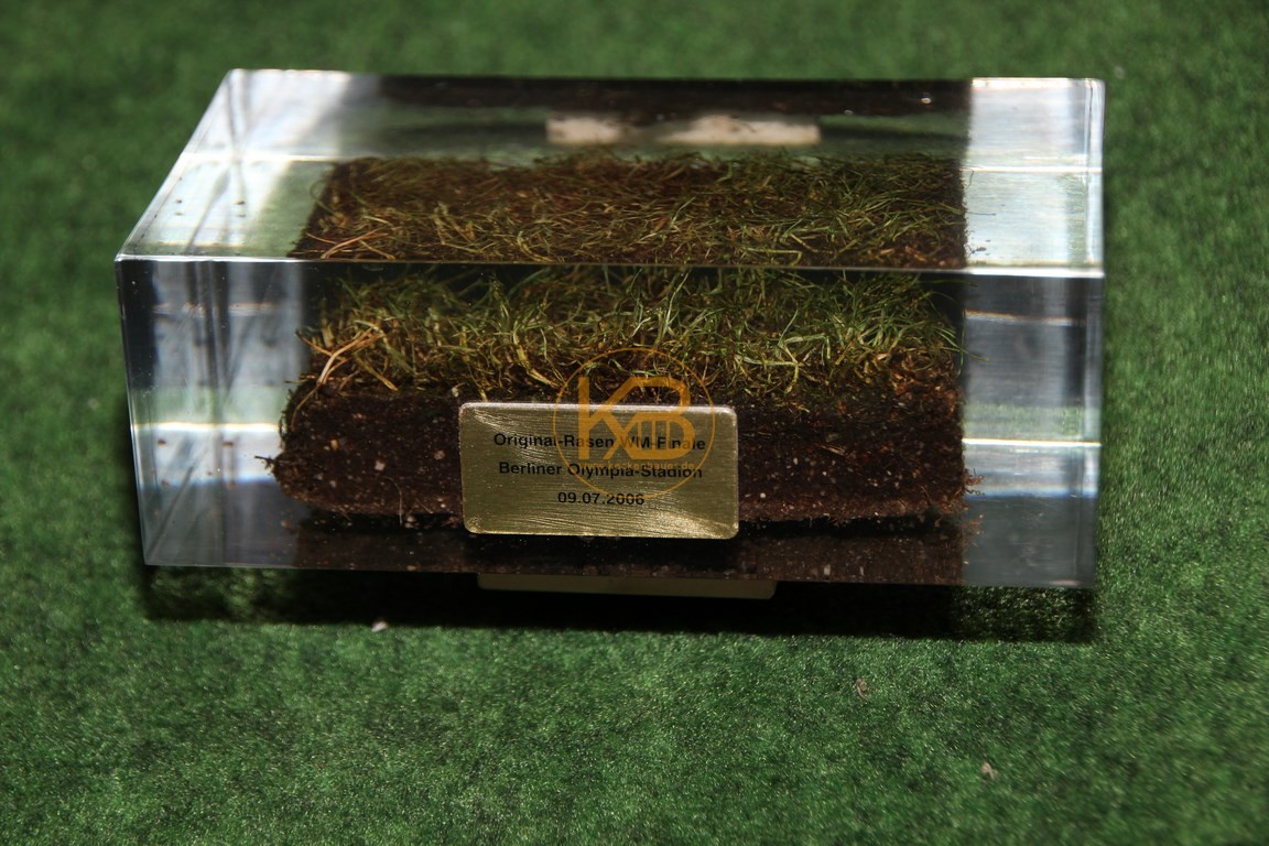 Rasen in Acryl vom Finale der Weltmeisterschaft 2006 in Deutschland.