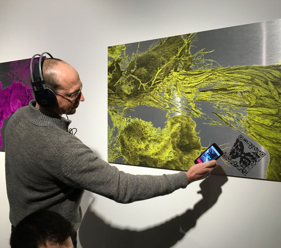 Sabine Schäfer, Audio Biospheres Yellow, 2017, Interaktive Druckgrafik, 75x100 cm.  Der Besucher scannt den QR-Code und hört die Audio-Komposition, Foto: Annette Hünnekens