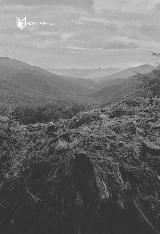 Foto: Víctor Chagoya Cerezo/ @chagoya_victor / Instagram: chagos30 