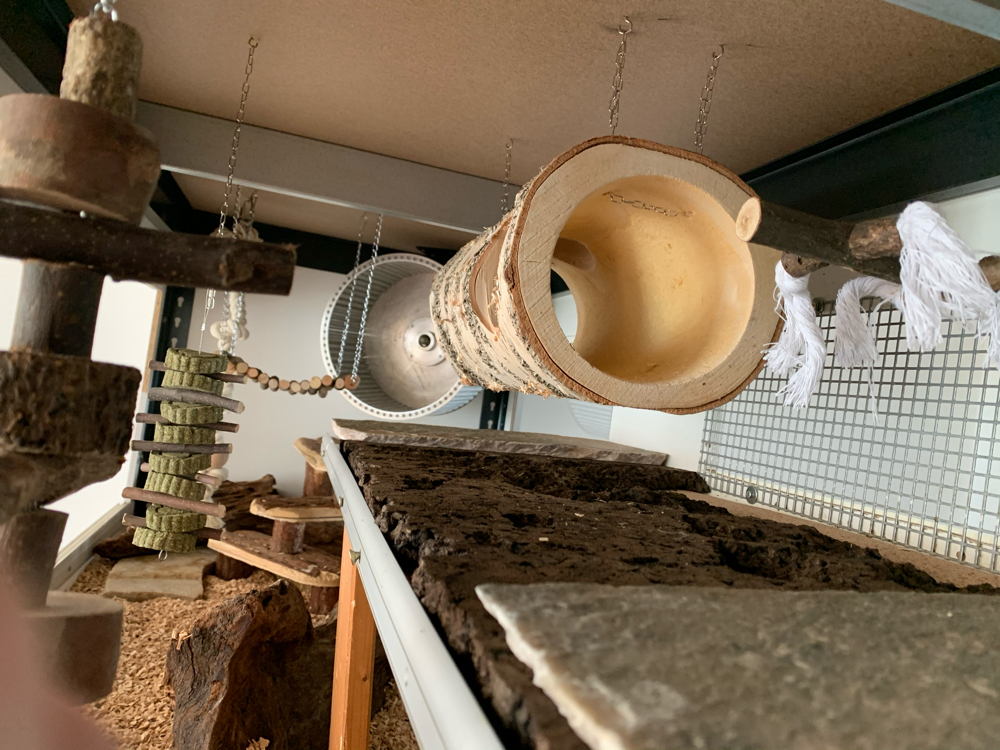 Degu Käfig Bauanleitung zum Eigenbau Deguzucht in Bayern